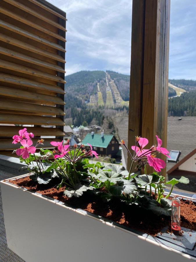 Luxusni Apartman U Sjezdovek S Garazi Harrachov Exterior foto